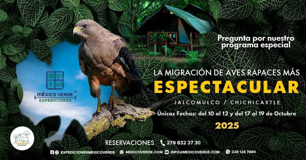 Aves-oct1-2025-EMV_Banner-correcto