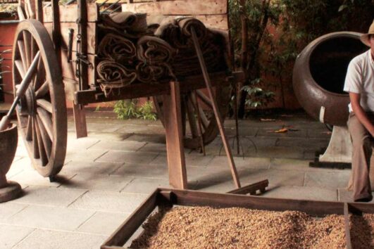 Tour Pueblos Mágicos y Cafetaleros