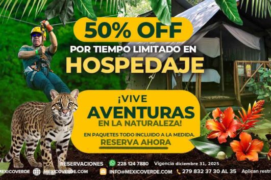 Hospedaje al 50%