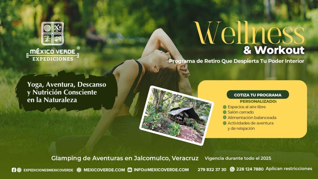 Wellness-2025-EMV-Banner