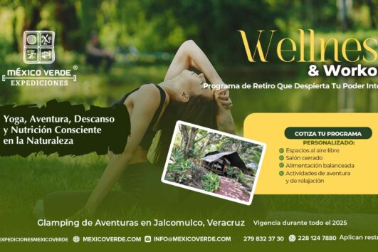 Wellness & Workout