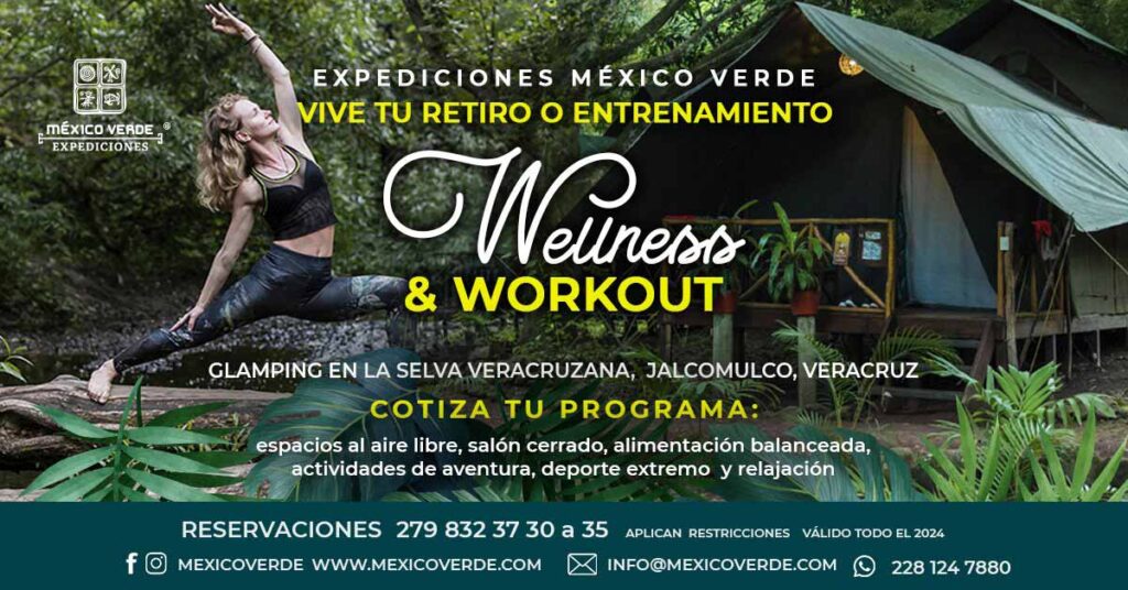 Wellness-&-Workout_Banner ¡Vive la Experiencia Wellness & Workout en Jalcomulco, Veracruz!