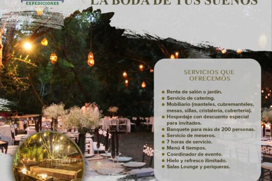 Planeamos la boda de tus sueños