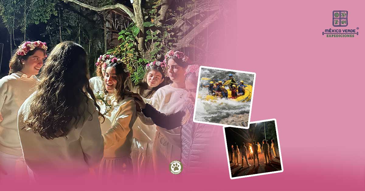 Despedida de Soltera