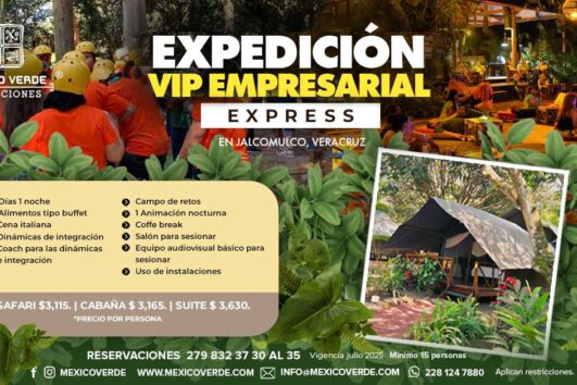 Expedición VIP Empresarial Express