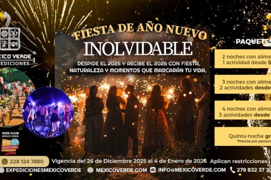 Fiesta de Año Nuevo 2026 ¡Inolvidable!